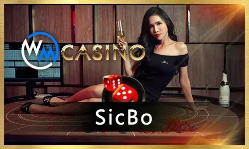 Online Roulette Wheel